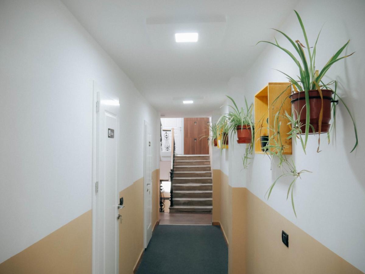 Hostel The Maze *